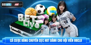 Cá Cược Bóng Chuyền Cực Hot Dành Cho Hội Viên 88CLB