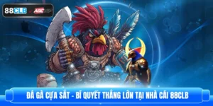 Đá Gà Cựa Sắt – Bí Quyết Thắng Lớn Tại Nhà Cái 88CLB