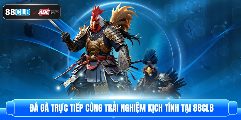 Đá Gà Trực Tiếp Cùng Trải Nghiệm Kịch Tính Tại 88CLB 1 Đá Gà Trực Tiếp Cùng Trải Nghiệm Kịch Tính Tại 88CLB