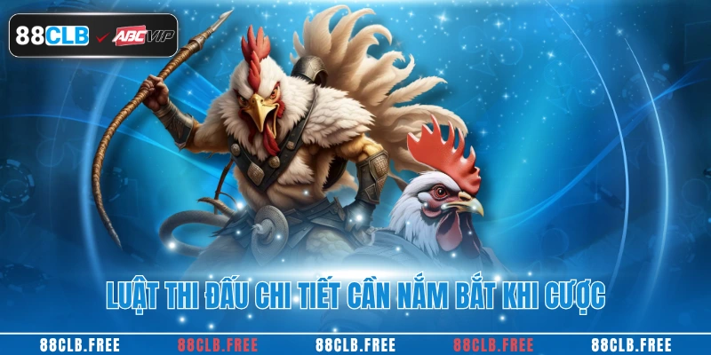 Luật thi đấu chi tiết cần nắm bắt khi cược