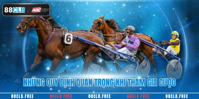 Những quy định quan trọng khi tham gia cược
