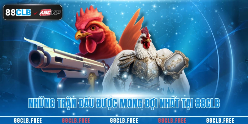 Đá Gà Trực Tiếp Cùng Trải Nghiệm Kịch Tính Tại 88CLB 4 Những trận đấu được mong đợi nhất tại 88CLB