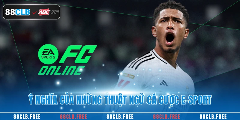 Ý nghĩa của những thuật ngữ cá cược e-sport